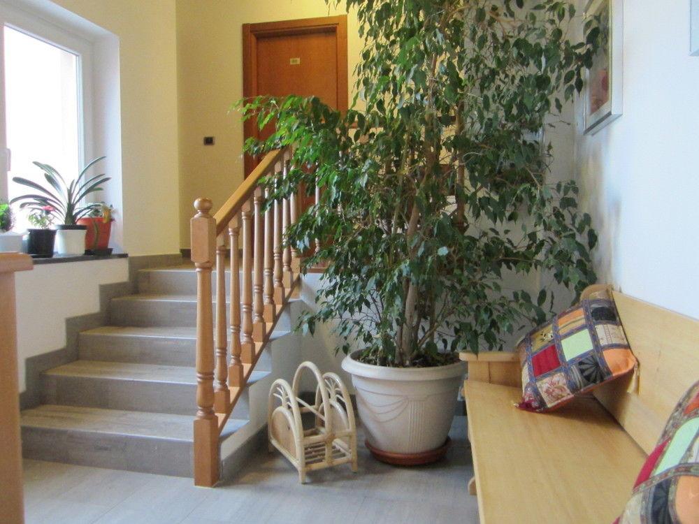 La Veranda 3*