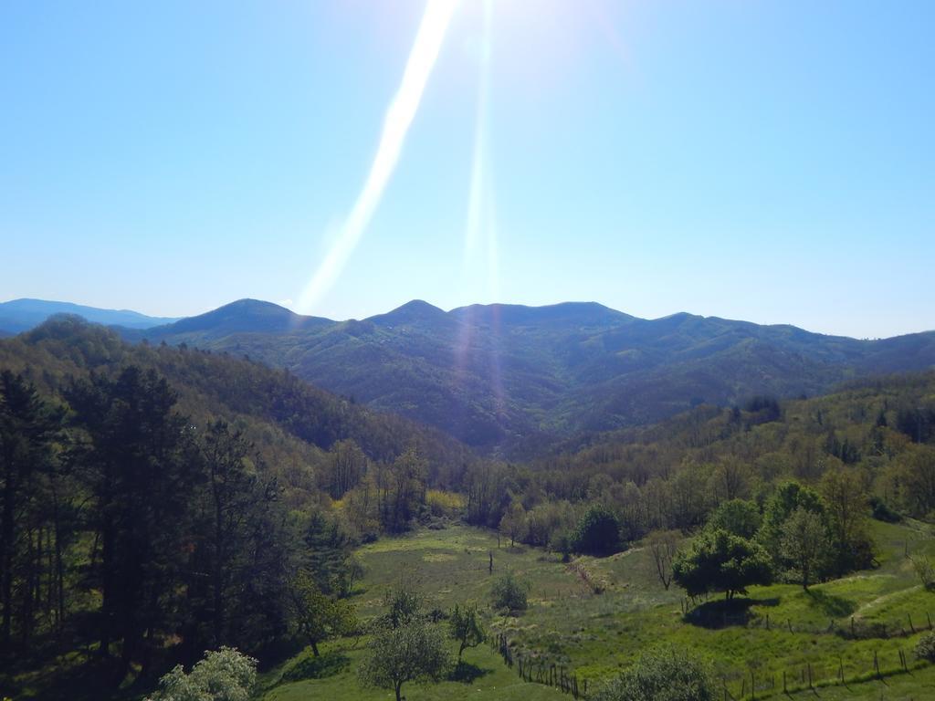 La Veranda 3* Tavarone