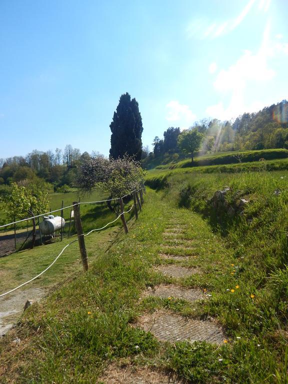 La Veranda Tavarone
